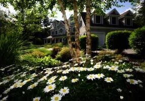 House Garden